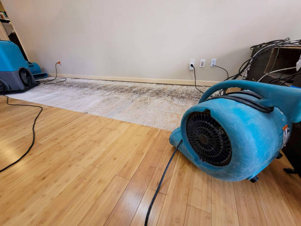 Professional Water Damage Repair technician working in Richmond Dale, OH